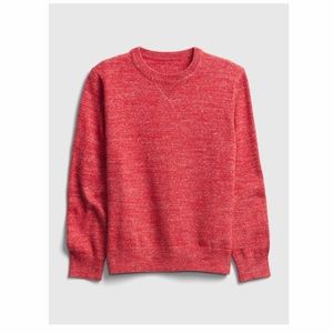 Gap Kids Crewneck Sweater boys size XL / 12